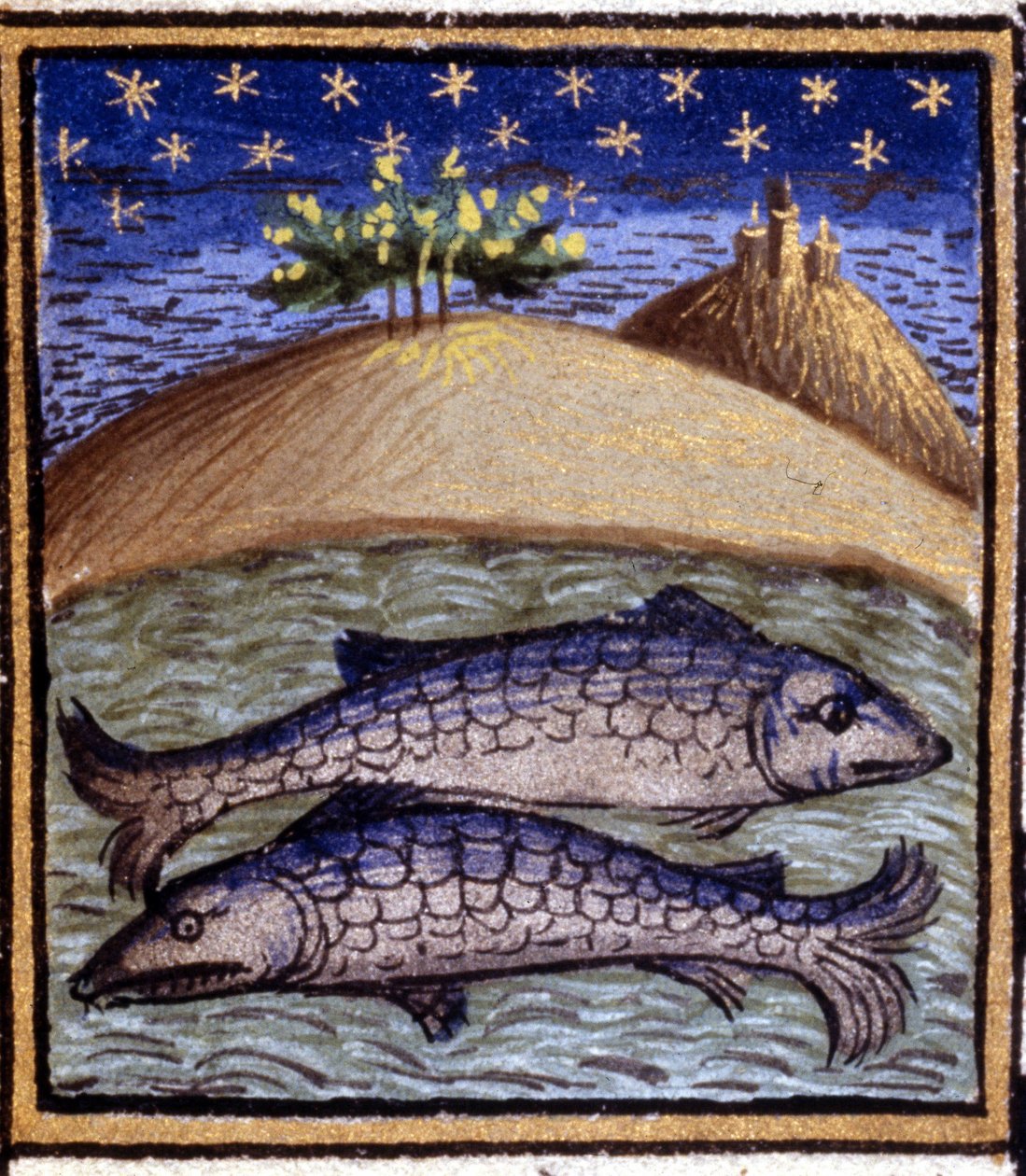 Ryby. Miniatura horoskopu. Rukopis 15. století. Bibl. Trivulziana, Milán. od Unknown artist