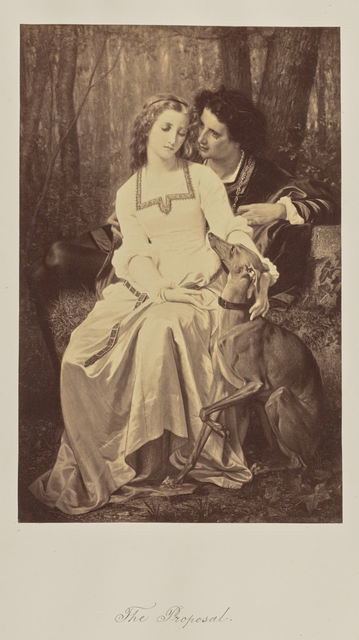 Návrh. od Unknown artist
