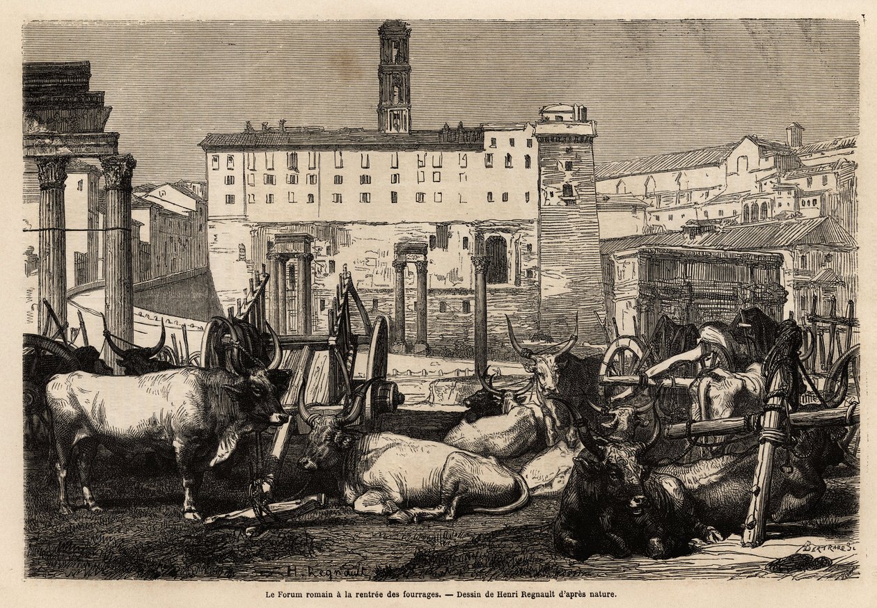 Na římském fóru se pronajímá krmivo, voli leží uprostřed povozů a starověkých ruin. Engravure pour illustrrer le voyage à Rome, Francis Wey, v letech 1864-1868, publikovaná v “”Le tour du monde”””” 1869, editoval Edouard Charton, vydání Hachette, od Unknown artist