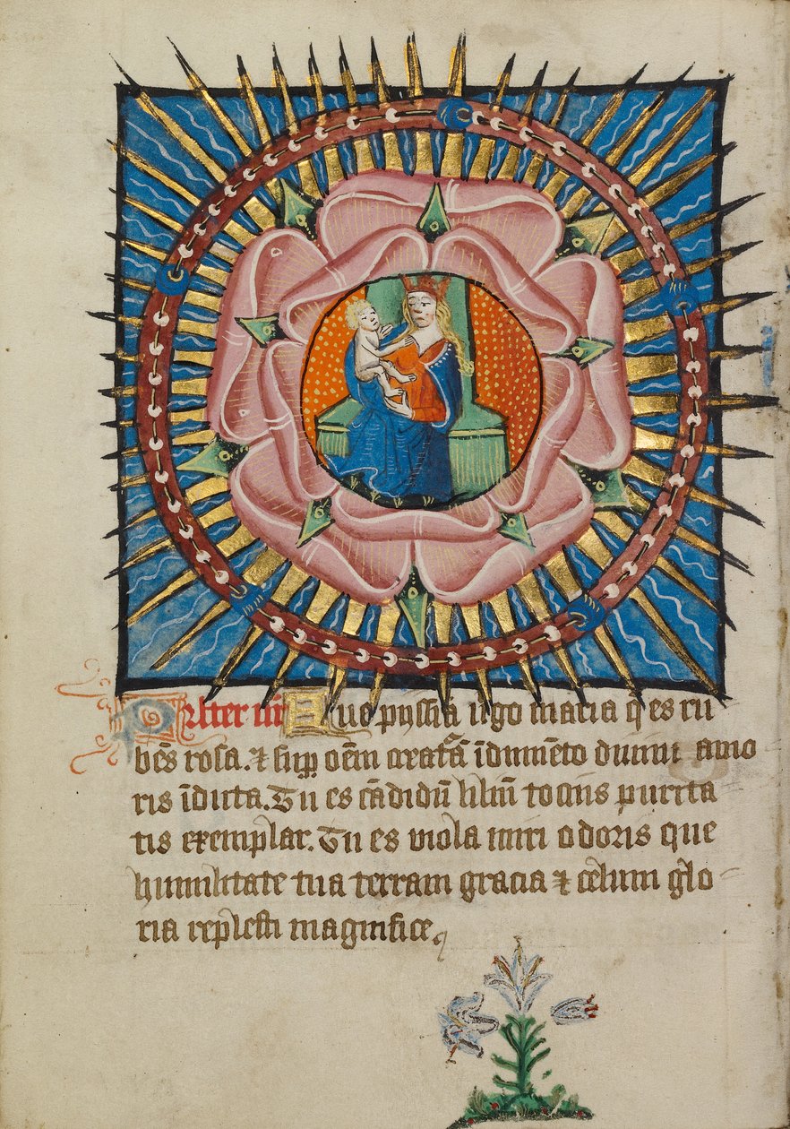 Panna s dítětem v růžové růži s bílou lilií od Unknown artist