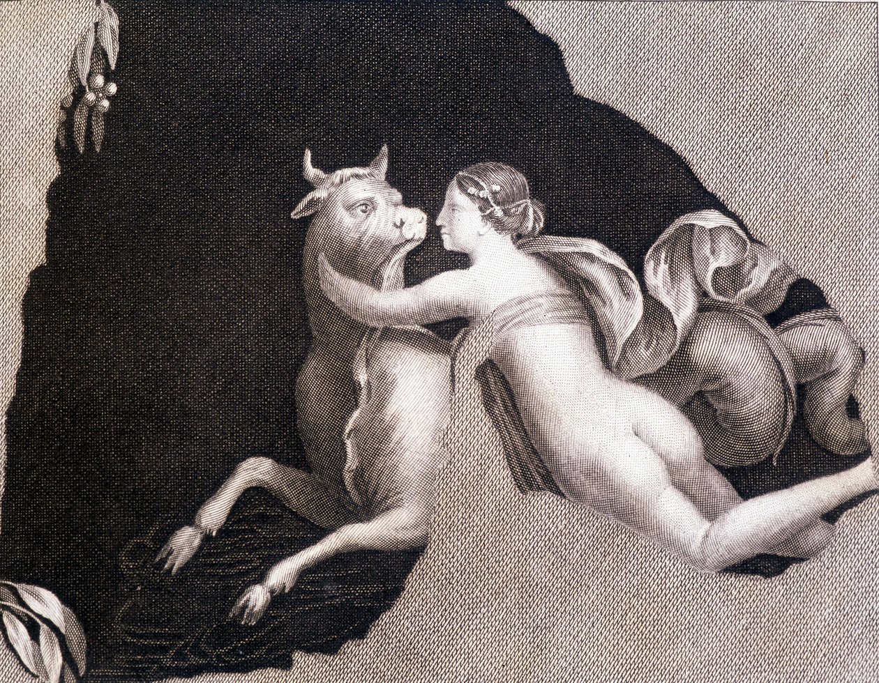 Únos Evropy - rytina od Unknown artist