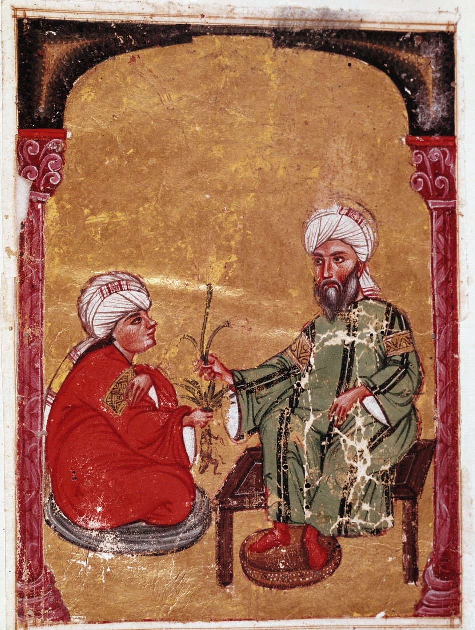 Lékař a botanik Pedanius Dioscoride (Pedanius Dioscorides) (40-90 n. l.) sedí s jedním ze svých studentů Miniatura z jeho pojednání „De materia medica““ (ms Ahmed III, 2147, folio 217a) 1229 Topkapi Sarayi Museum Library, Istanbul od Unknown artist