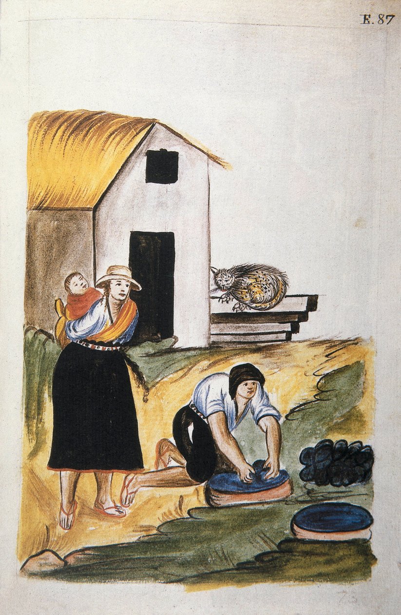 Barvení vlny z knihy „Trujillo of Peru“ nebo „Codex Martinez Companion“, od Baltazara Martineze Companiona a Bujandy, biskupa z Trujillo (1782-1785) od Unknown artist