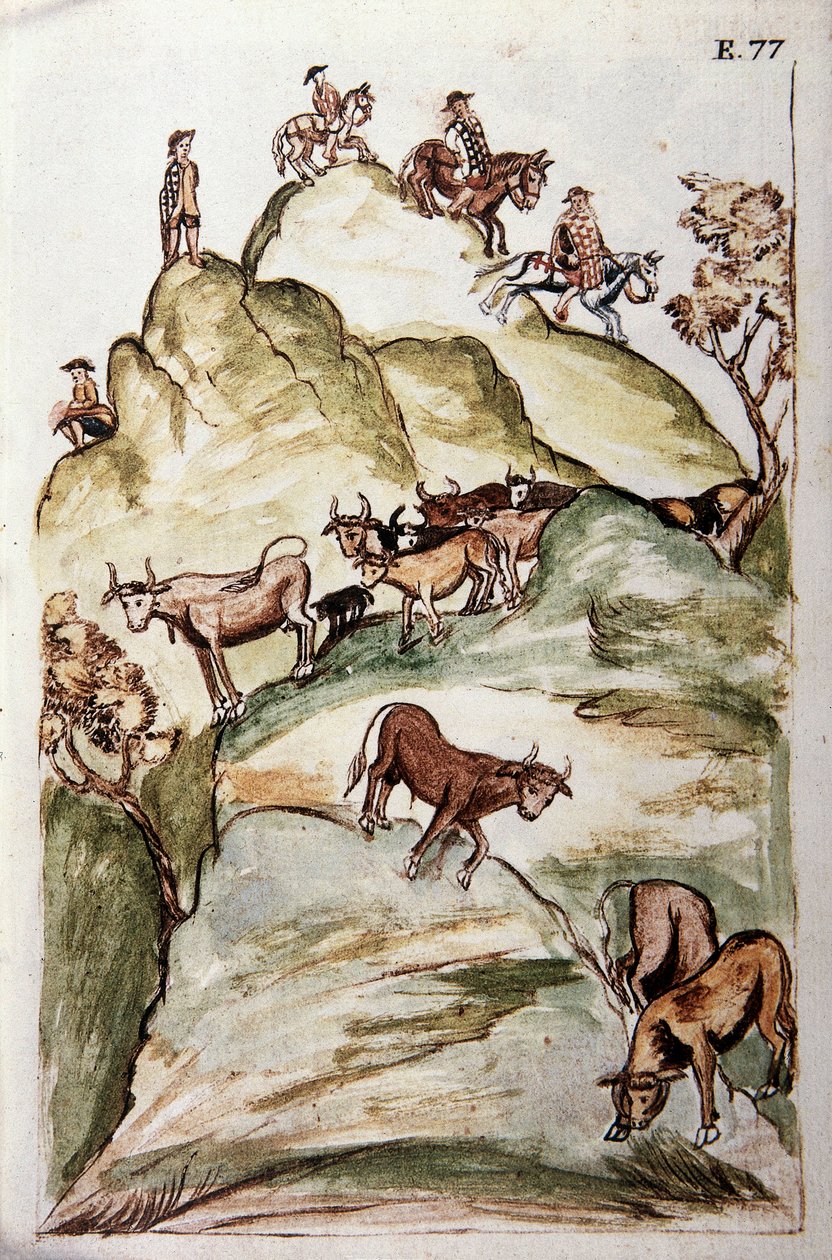 Strážci krav, kteří obklíčili skupinu krav v horách, aby je chytili, z knihy "Trujillo del Peru" nebo "Codex Martinez Companion", od Baltazara Martineze Companiona a Bujandy, biskupa z Trujillo (1782-1785) od Unknown artist