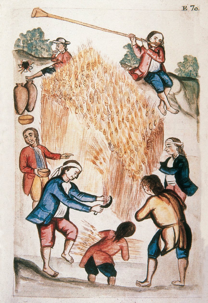 Sklizeň z knihy „Trujillo of Peru“ nebo „Codex Martinez Companion“, od Baltazara Martineze Companiona a Bujandy, biskupa z Trujillo (1782-1785) od Unknown artist