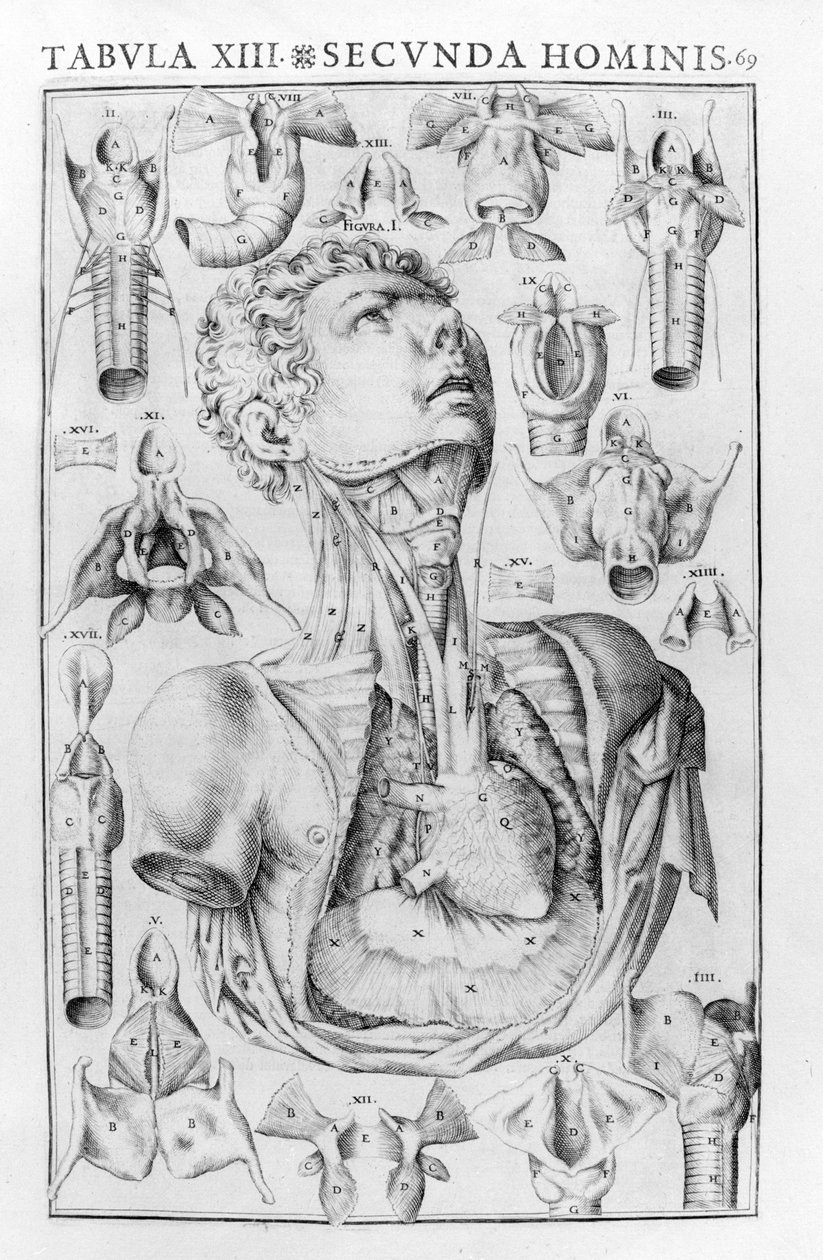 Ferrara 1601 od Unknown artist