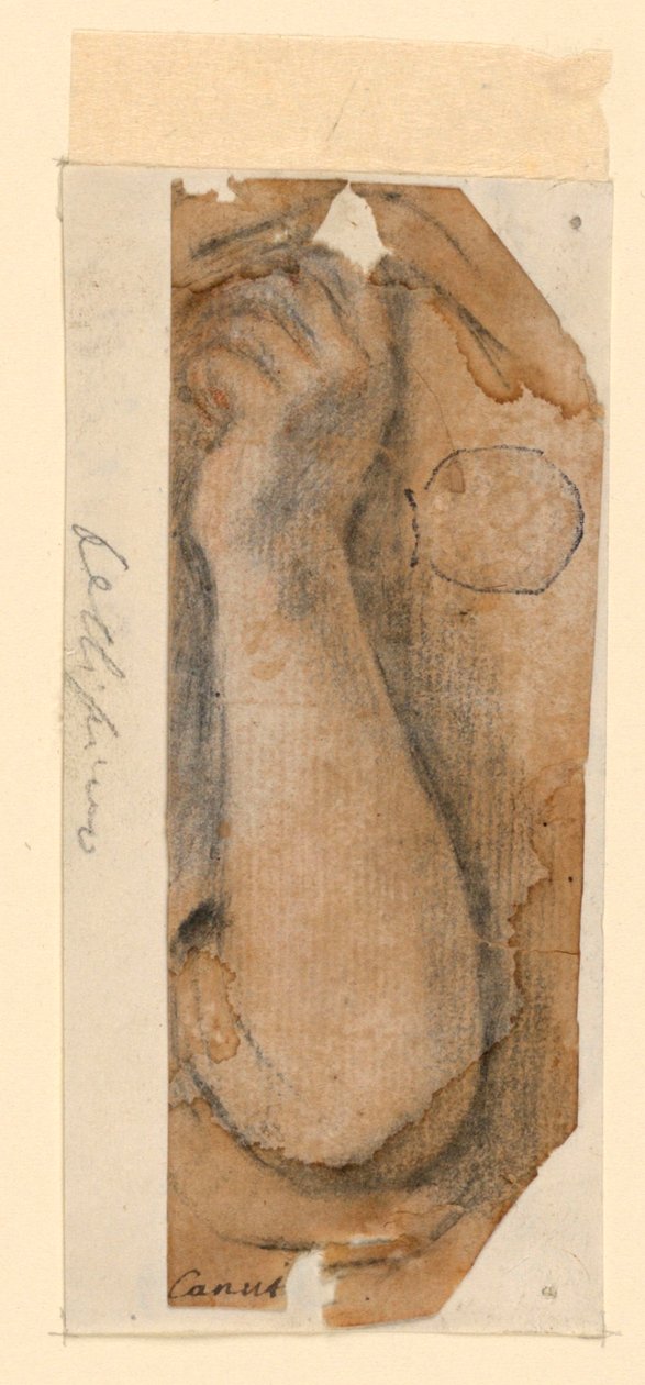 Zvednuté předloktí ženy od Unknown artist