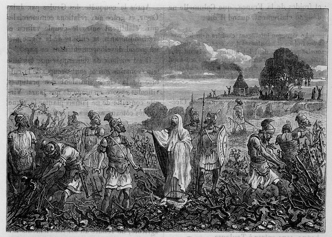 Vinná réva vykořeněná v Galech na příkaz císaře Domitiana - v „Zázracích průmyslu“ od Louise Figuiera, Paříž od Unknown artist