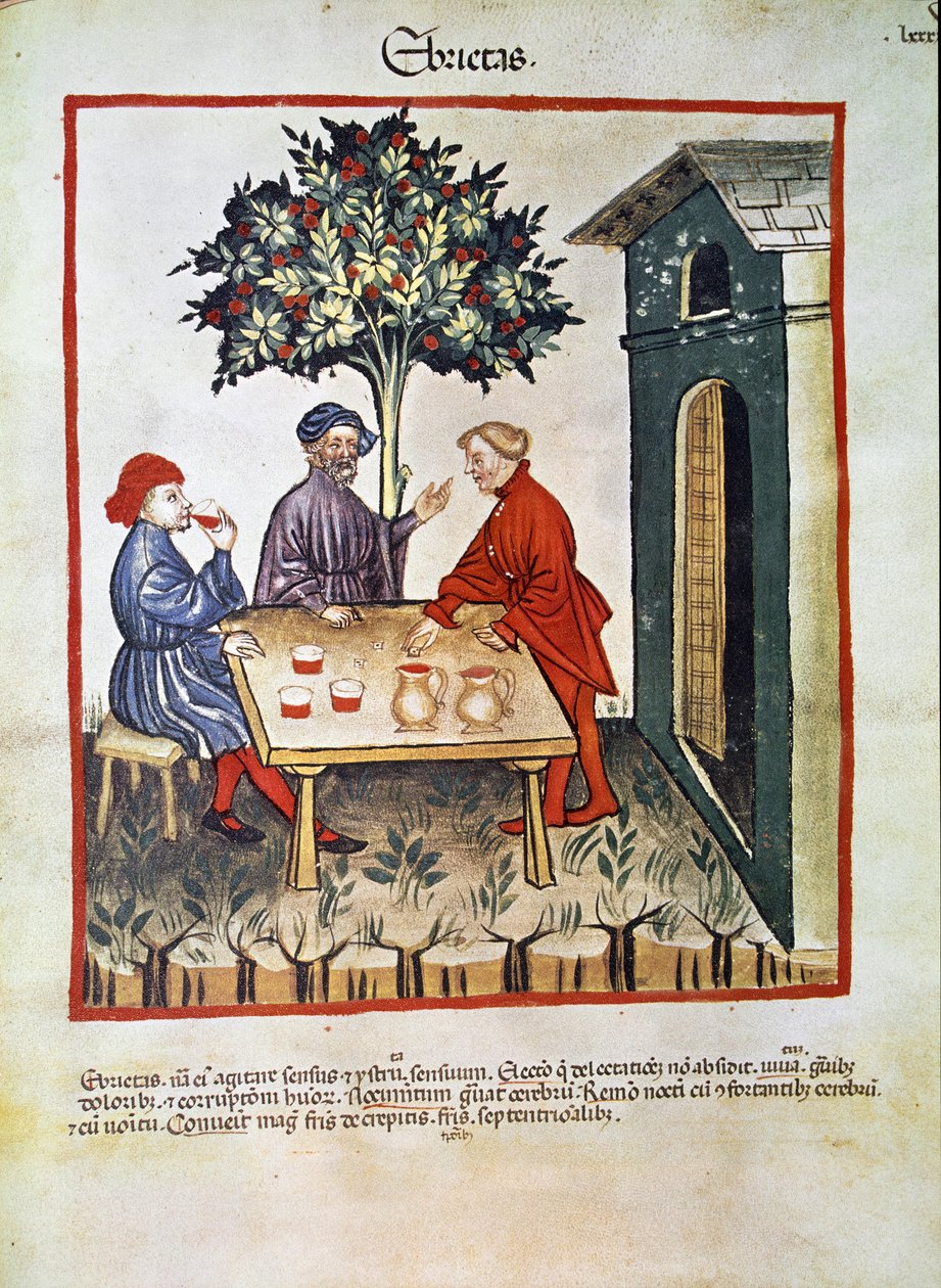 Léčit lék: "" opilství"" Stránka převzata z "" Tacuinum sanitatis"" (Cod. ser. nov. 2644) Kolem 1400 Vídeň, Rakouská národní knihovna od Unknown artist