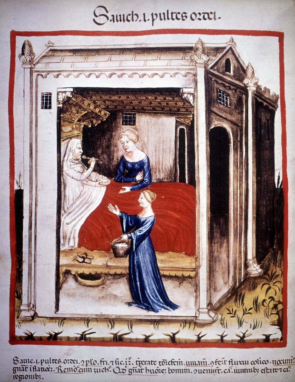 Pojednání o medicíně „“Tacuinum sanitatis“““ 14. století: pacient, kterému pomáhají sestry. B.N, Vídeň. od Unknown artist