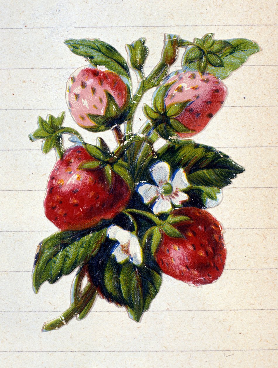Neznámý obrázek od Unknown artist