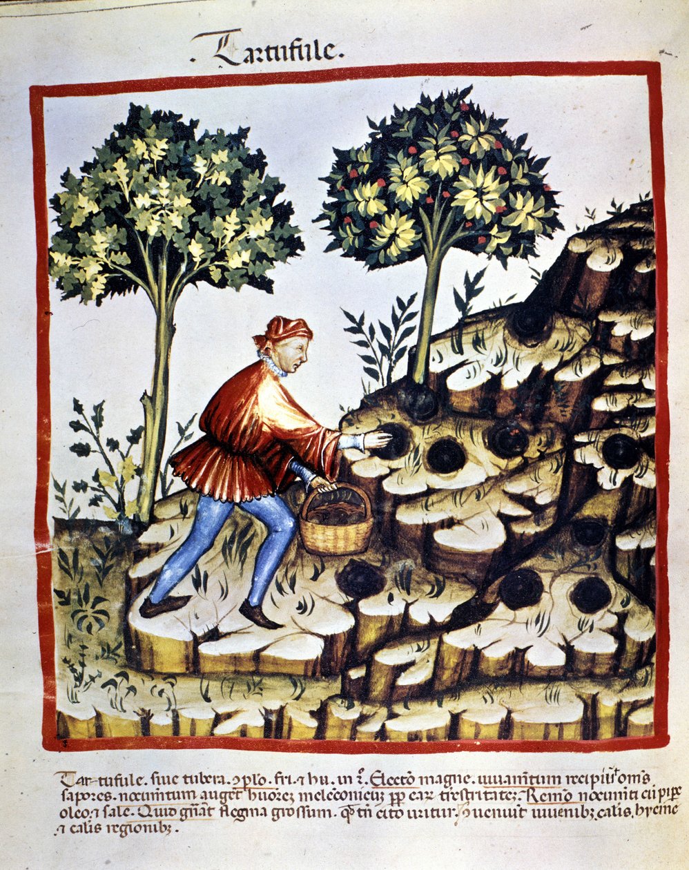 Neznámý obrázek od Unknown artist