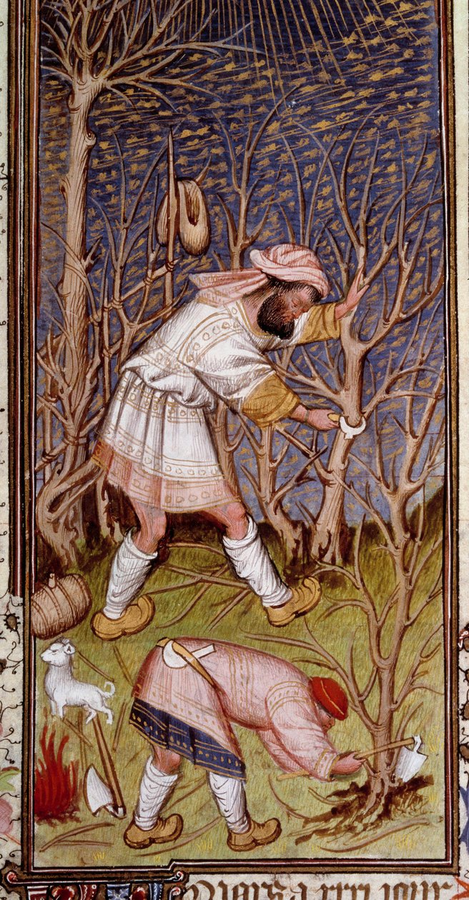 Neznámý obrázek od Unknown artist