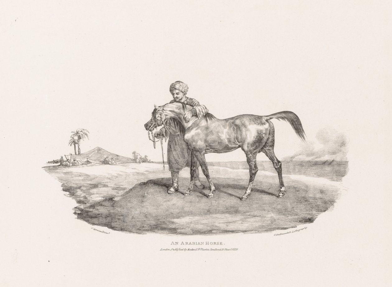 Různé předměty ze života a na kameni: Arabský kůň od Unknown artist