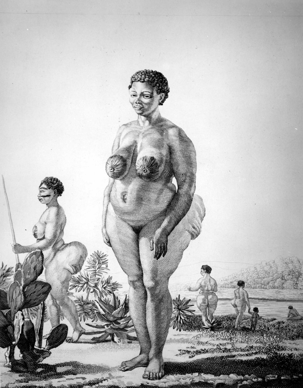 Venuše Hottentote z Jižní Afriky od Unknown artist