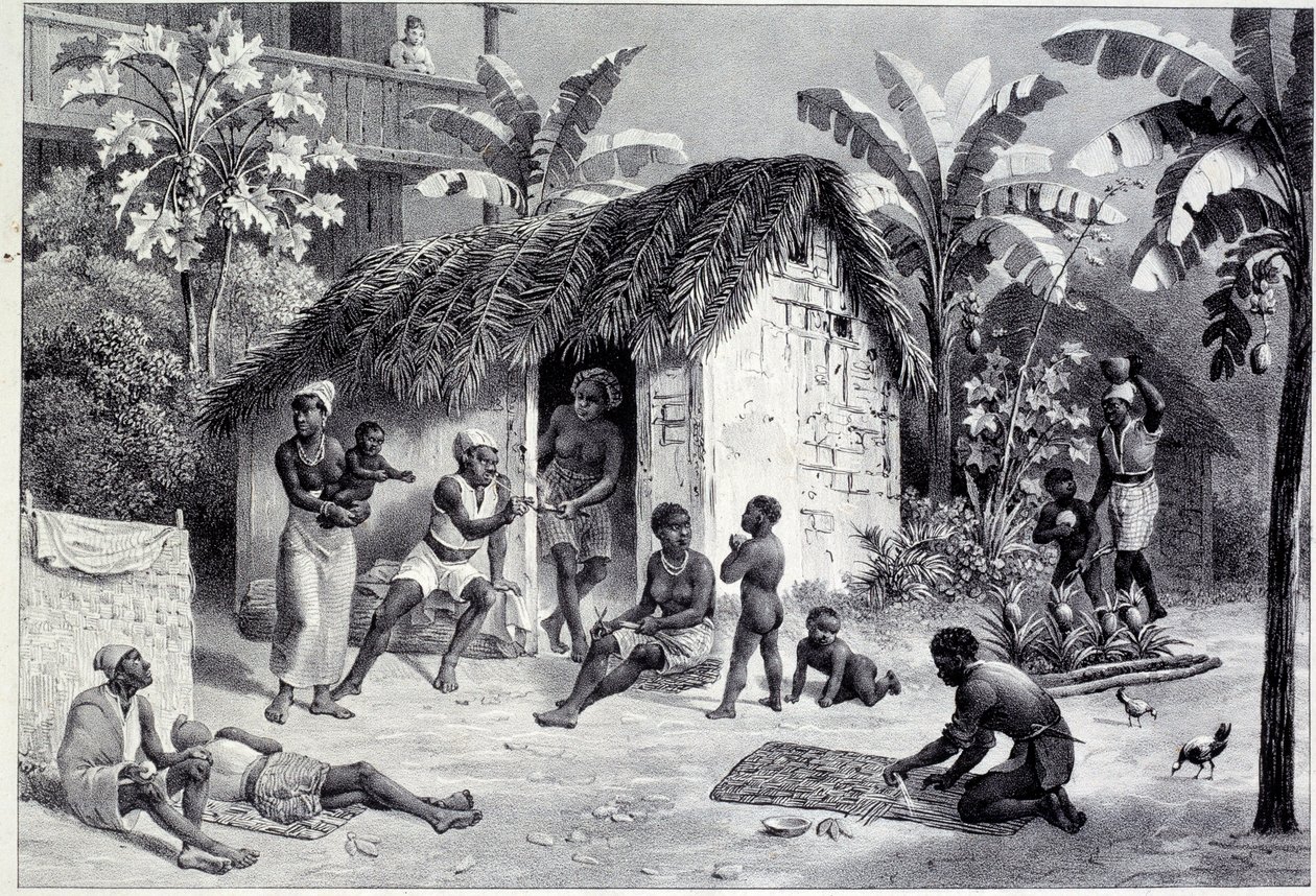 Pohled na plantáž s uhlíkem negresu v Západní Indii. Rytina 18. století. Chartres, Muzeum výtvarných umění od Unknown artist