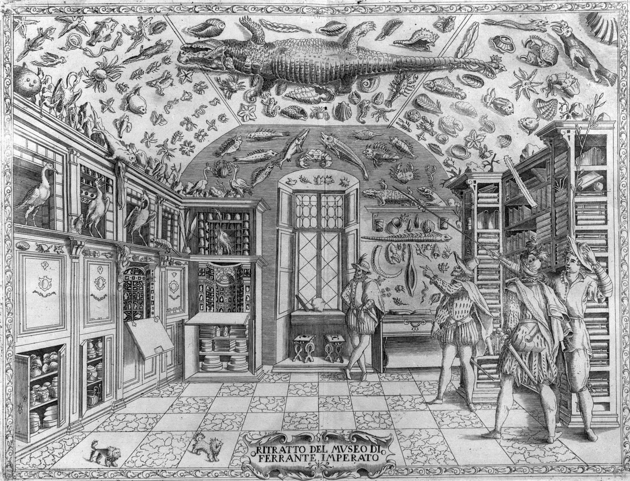 Pohled na muzeum (kabinet) kuriozit (encyklopedické muzeum) lékárníka Ferrante Imperato (1550 - 1631). Rytina z roku 1678. Muzeum neapolského lékárníka Ferrante Imperato. od Unknown artist