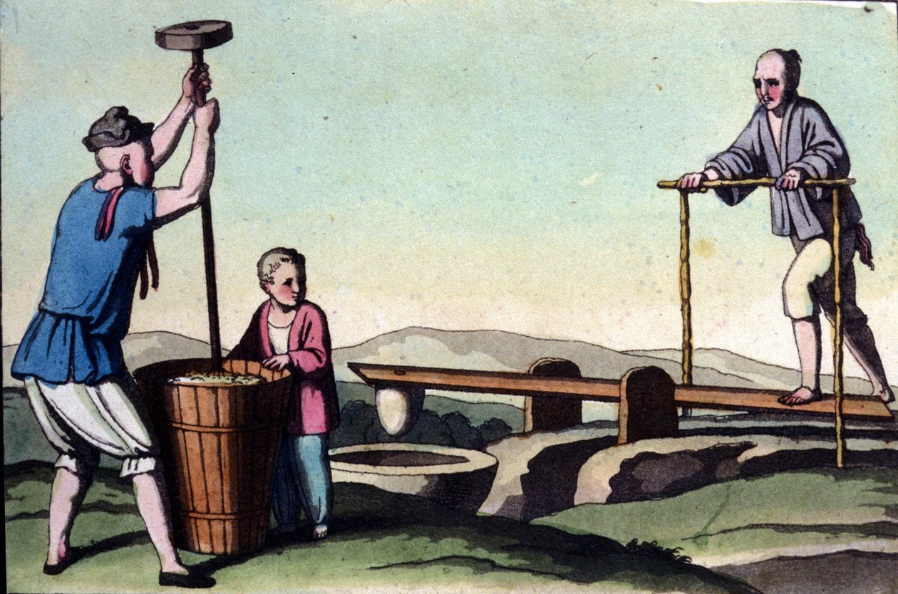 Způsoby drancování rýže v Číně. tisk z 19. století. od Unknown artist