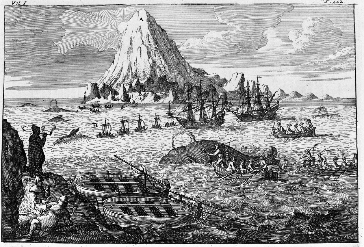 Lov velryb u ostrova Jan Mayen. rytina počátku 18. století od Unknown artist
