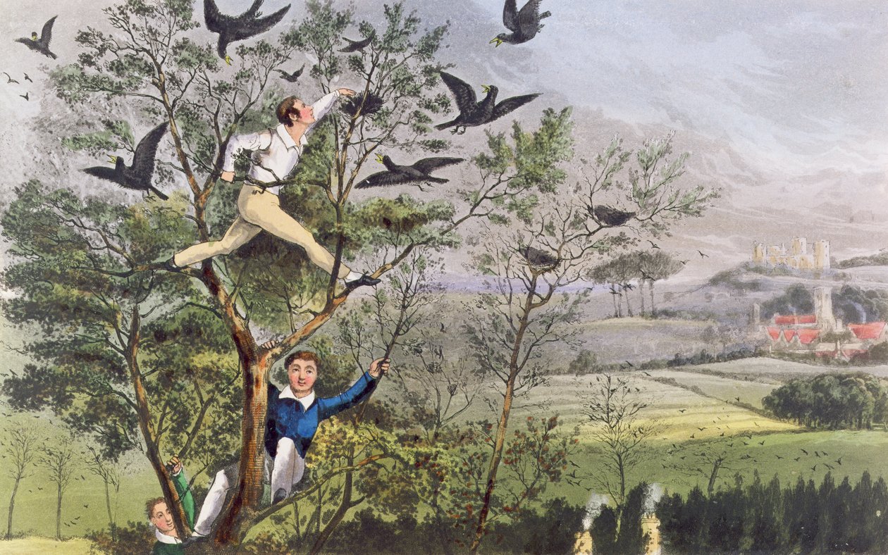 Who-Whoop! Dokázal jsem to - Nájezd na Havraní hnízdo z Nimrodova "Života sportovce". od Unknown artist