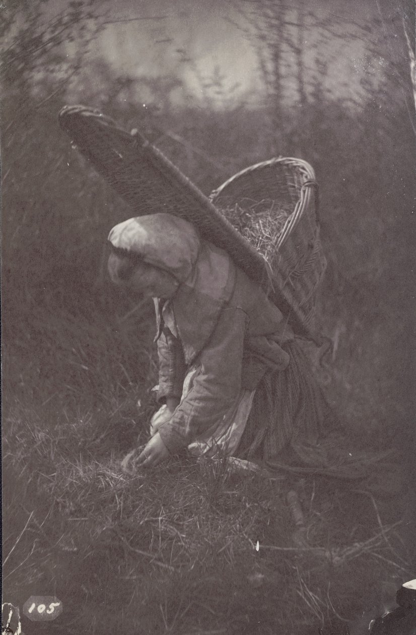 [Žena s košíkem na zádech] od Unknown artist