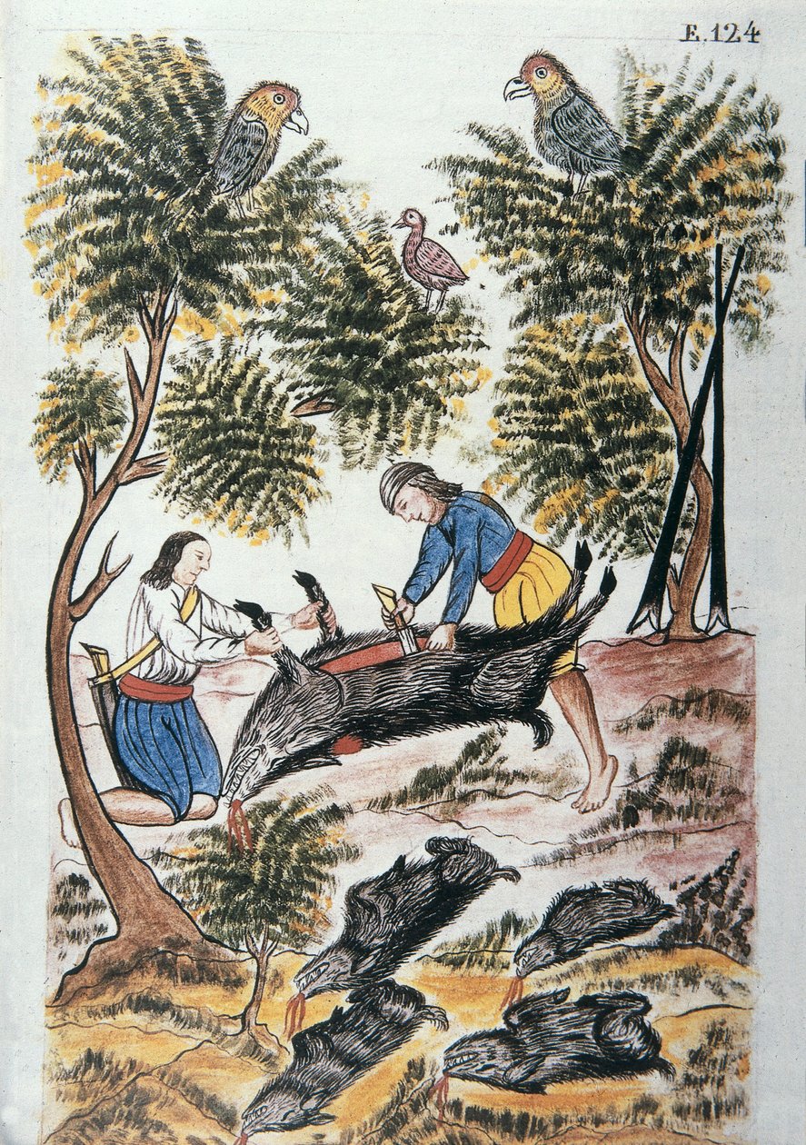 Mladí Indiáni motilones porážejí divoké prase, z knihy „Trujillo del Peru“ nebo „Códice Martínez Compañón“, od Baltazara Martineze Compañóna y Bujandy, biskupa z Trujillo (1782-1785) od Unknown artist