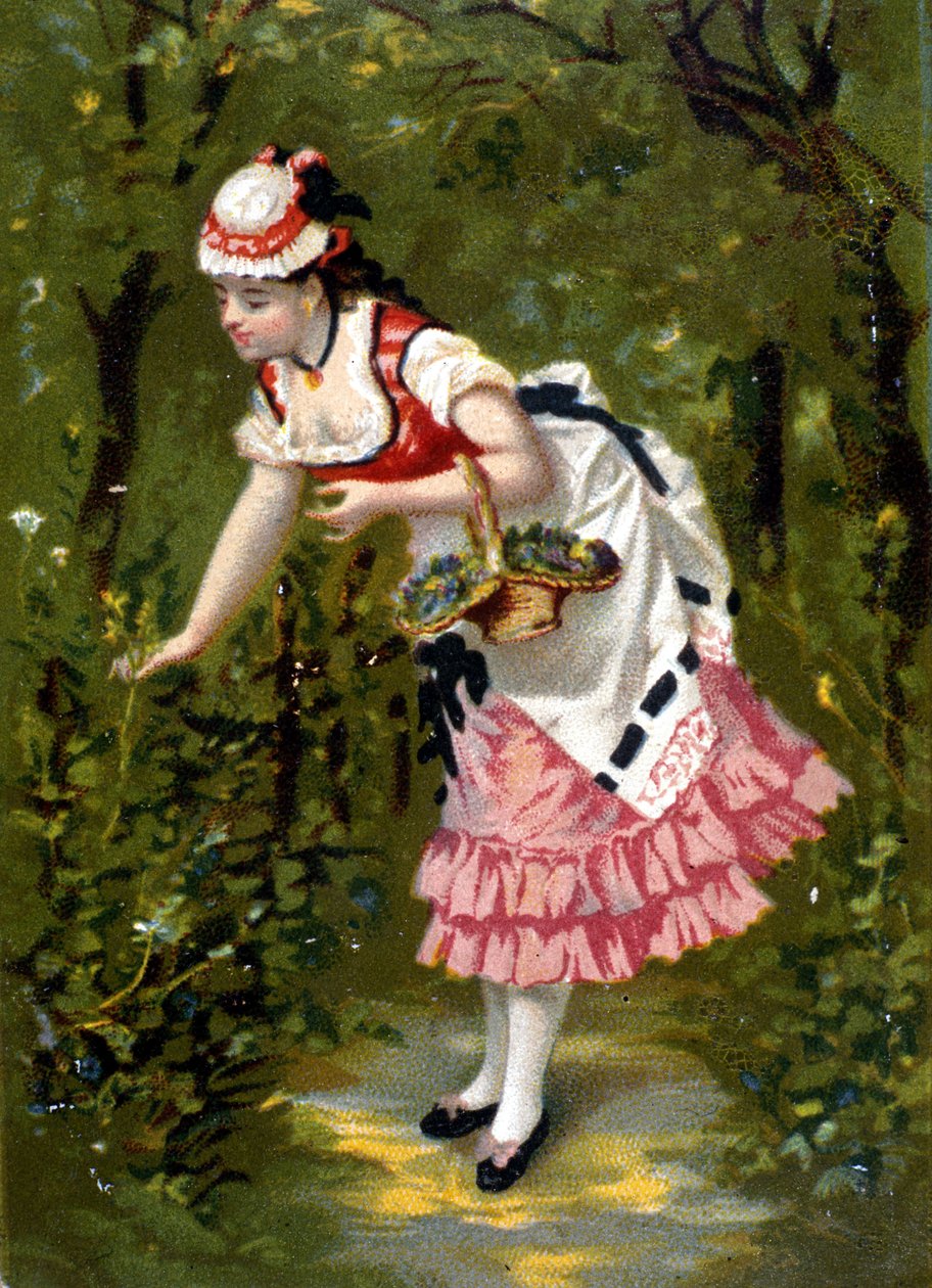 Mladá žena trhá květiny. Chromolitografie/ od Unknown artist