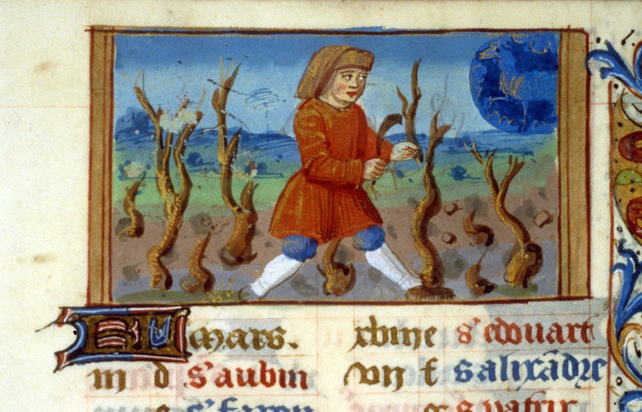 Zodiac Beran a velikost stromu - Miniatura středověku (ref. 137, 047r) - Vyžádejte si povolení od Městské knihovny v Toulouse (tel: 05 62 27 66 66) od Unknown artist