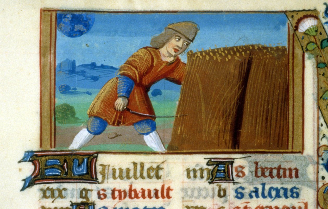 Zvěrokruhový lev a sklizeň - miniatura středověku (ref. 137, 049r): Žádost o povolení od Městské knihovny v Toulouse (tel: 05 62 27 66 66) od Unknown artist