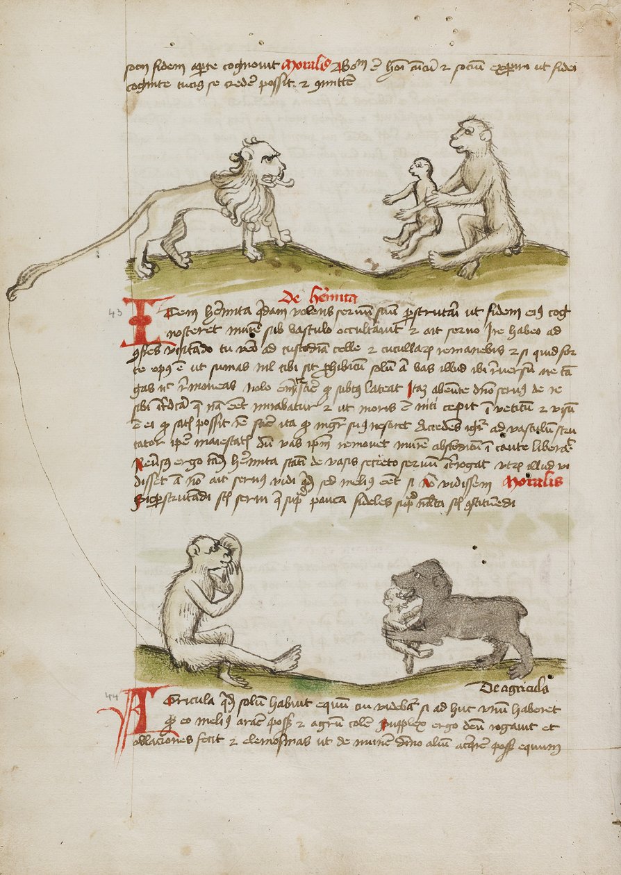 Lev s opicí a jejím mládětem; Opice; Medvěd požírající opičí mládě od Unknown artist/maker