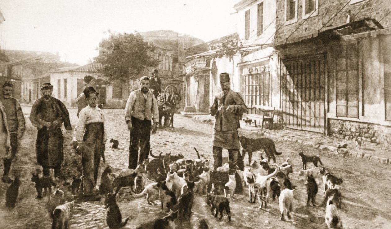 Laskavost Turka k "neškodné, potřebné kočce": krmení kočiček bez domova v Čanaku po bombardování, z "The Illustrated War News" (litografie) od Unknown photographer