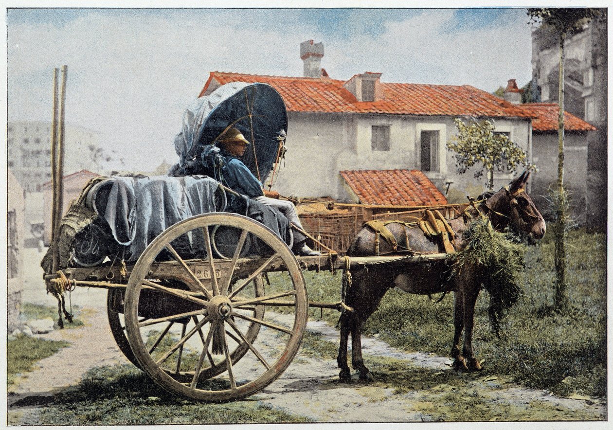 Povozník nesoucí své víno. Řím, Itálie, konec 19. století. od Unknown photographer