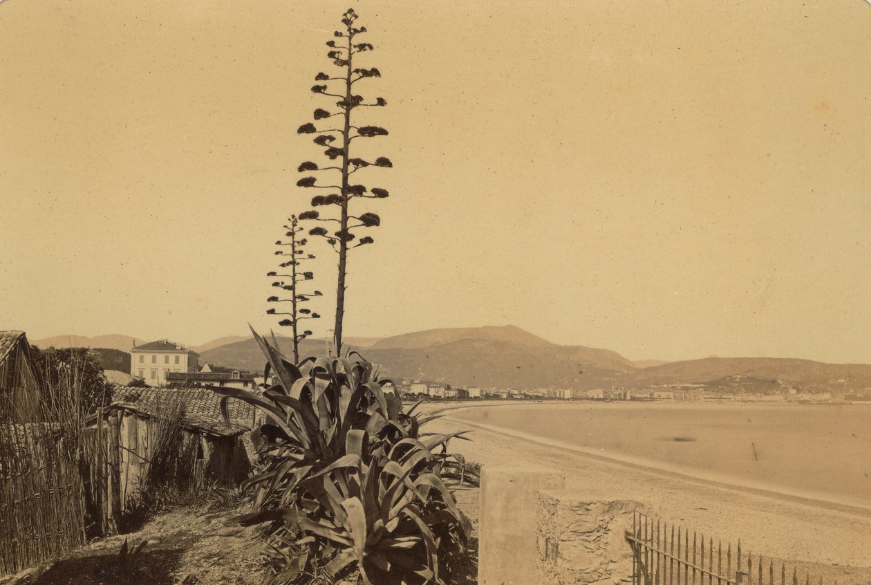 Album "Nice et les environs": pohled na pobřeží Nice od Unknown photographer