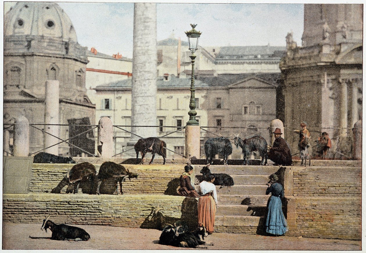 Starověký Řím: pohled na Římské fórum. Itálie, konec 19. století. od Unknown photographer