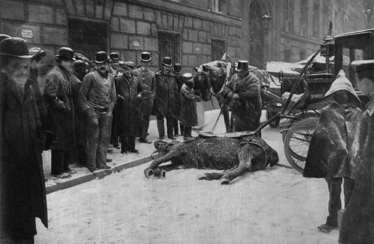 Smrt spojovacího koně v ulicích Paříže. Fotografie, konec 19. století, Paříž. Coll. Selva. od Unknown photographer