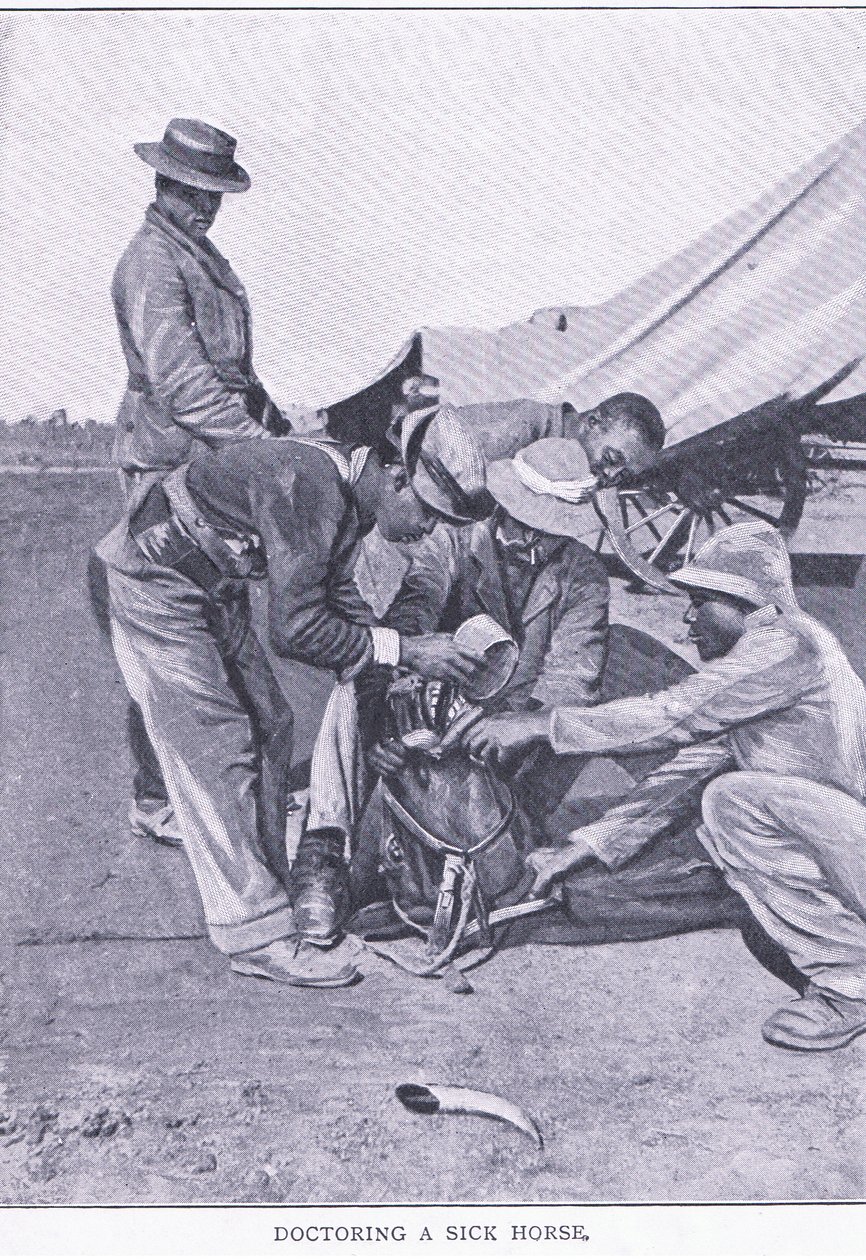 Doctoring a sick horse, from After Pretoria: The Guerilla War vydané Harmsworth Bros Limited od Unknown photographer
