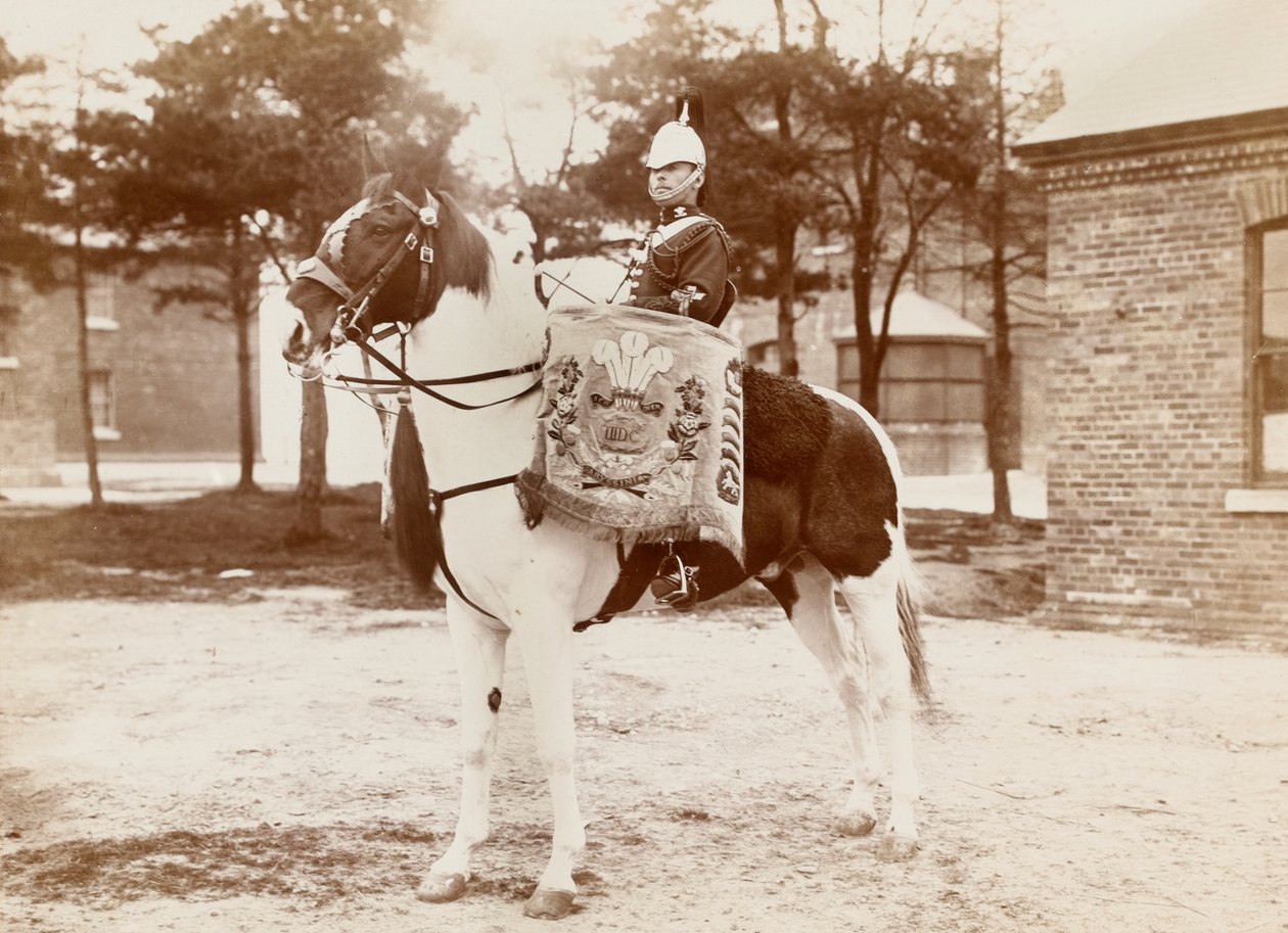 ?Drum-horse, 3. Prince of Wales