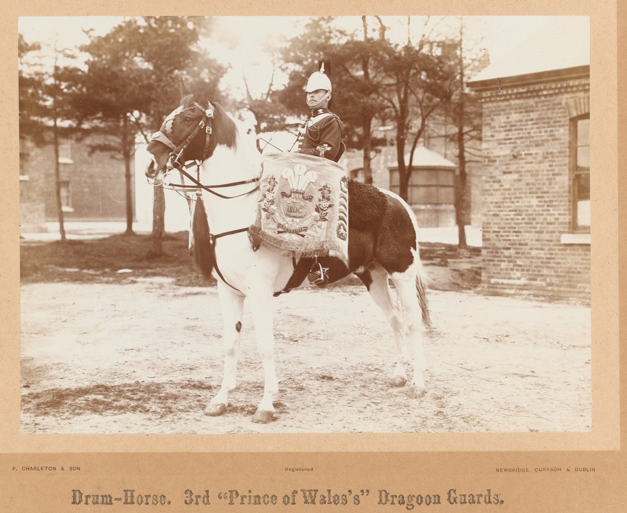 ?Drum-horse, 3. Prince of Wales
