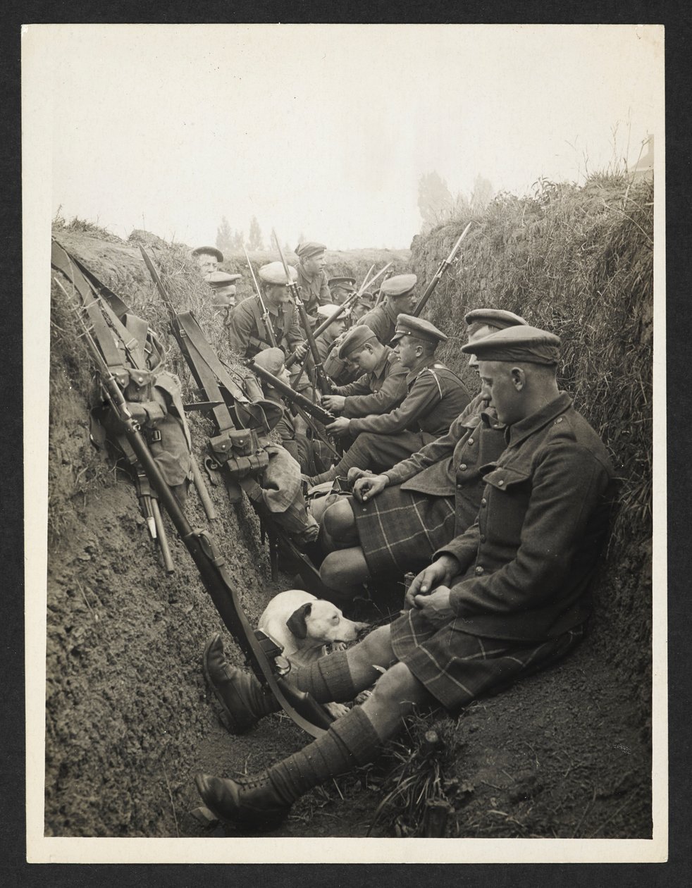 Horalé v zákopu [La Gorgue, Francie]. 5. srpna 1915. od Unknown photographer