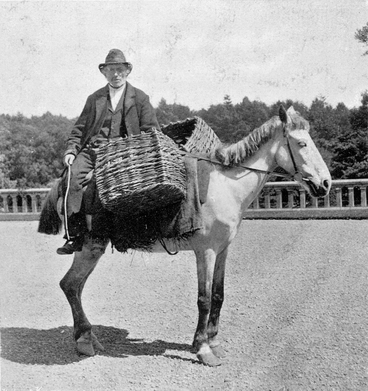Ir na koni (19. století). od Unknown photographer