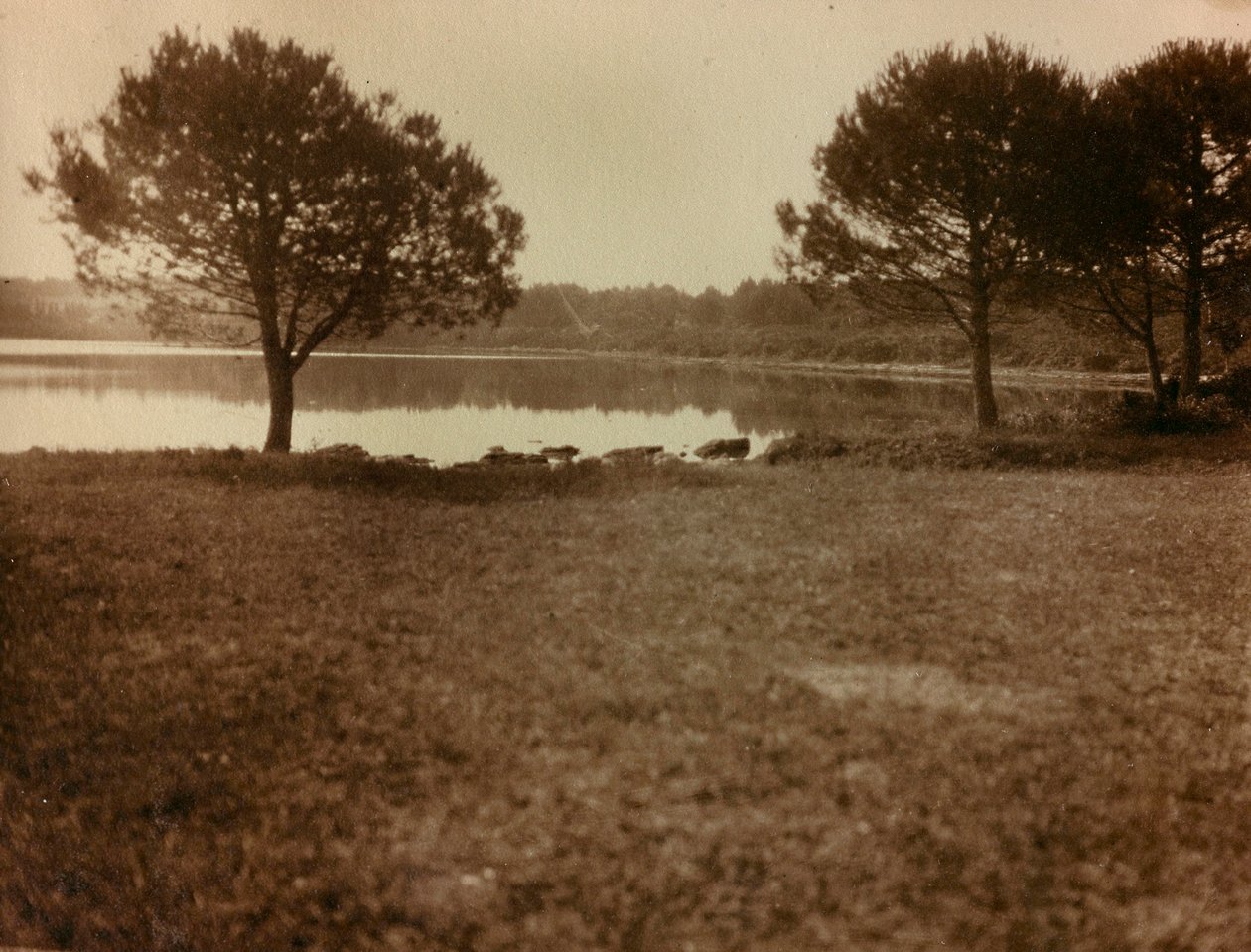 Krajina na Brijunských ostrovech od Unknown photographer