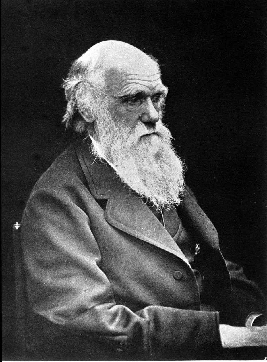 Fotografický portrét Charlese Darwina (1809 - 1882), anglického přírodovědce. 1881 od Unknown photographer