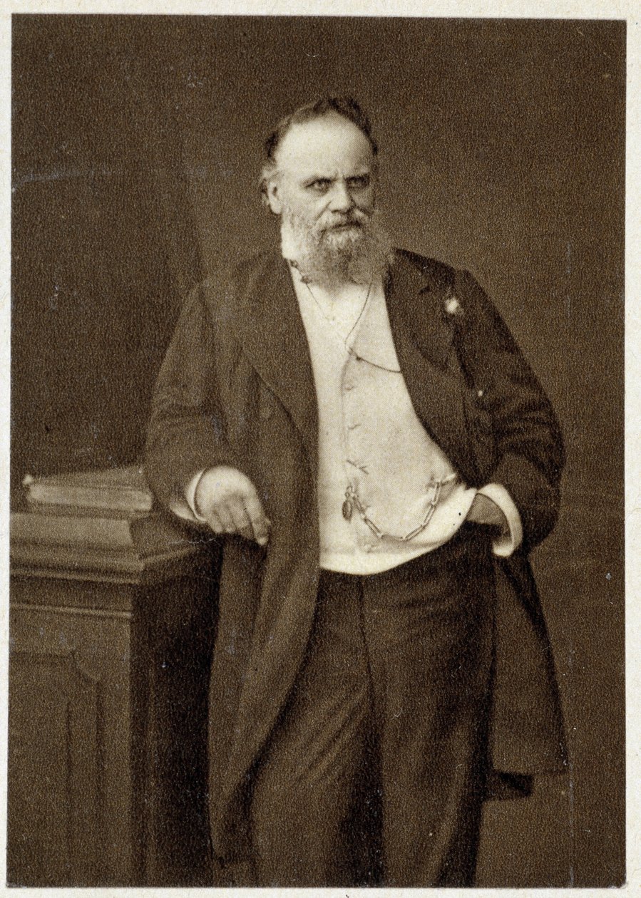 Portrét Aristida Boucicauta (obchodníka a filantropa) v roce 1874. od Unknown photographer