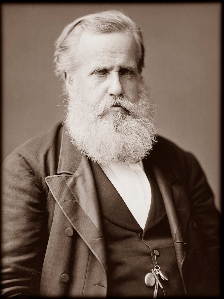 Portrét Dom Pedro II (Peter II) (Peter II) (Dom Pedro de Alcantara) (1825-1891), císař Brazílie od Unknown photographer