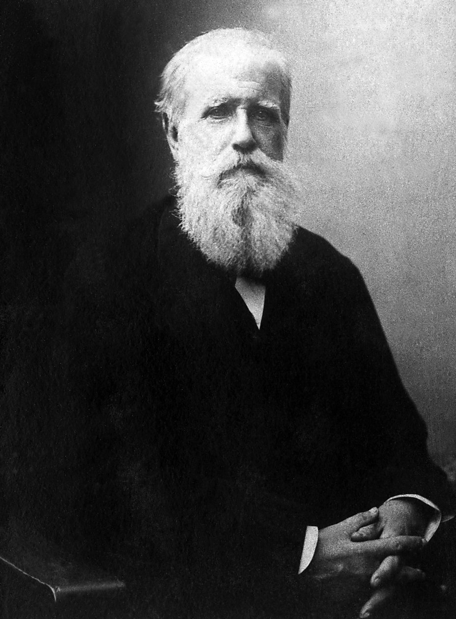Portrét Dom Pedro de Alcantara (Petr II) (1825-1891), císař Brazílie. od Unknown photographer