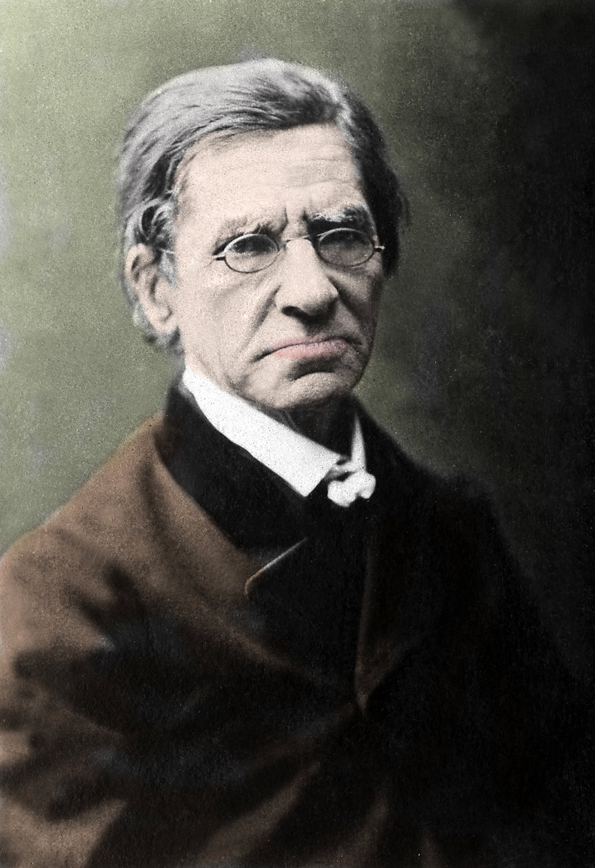Portrét Emile Littre (1801-1881), francouzský filolog, lékař a politik. od Unknown photographer