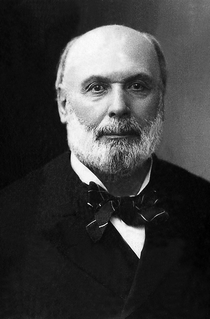 Portrét Julese Grevyho (1807-1891), francouzského státníka. od Unknown photographer