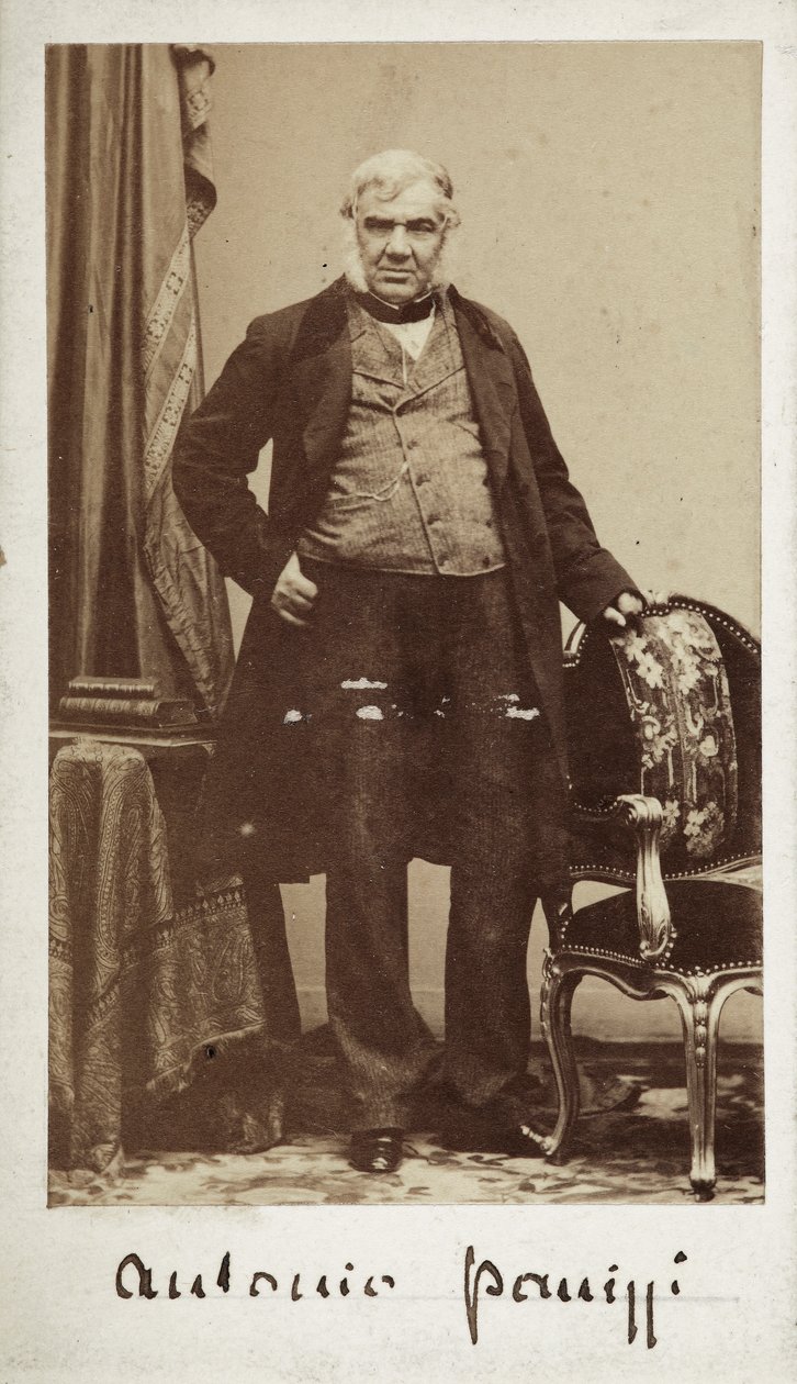 Portrét senátora Antonia Panizziho (1797-1879), ředitele knihovny Britského muzea od Unknown photographer