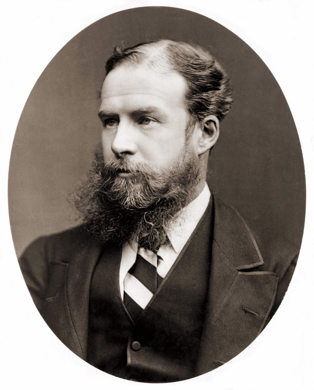 Portrét sira Johna Lubbocka, barona z Avebury (1834-1913), britského politika, přírodovědce a prehistorika. Fotografování. od Unknown photographer