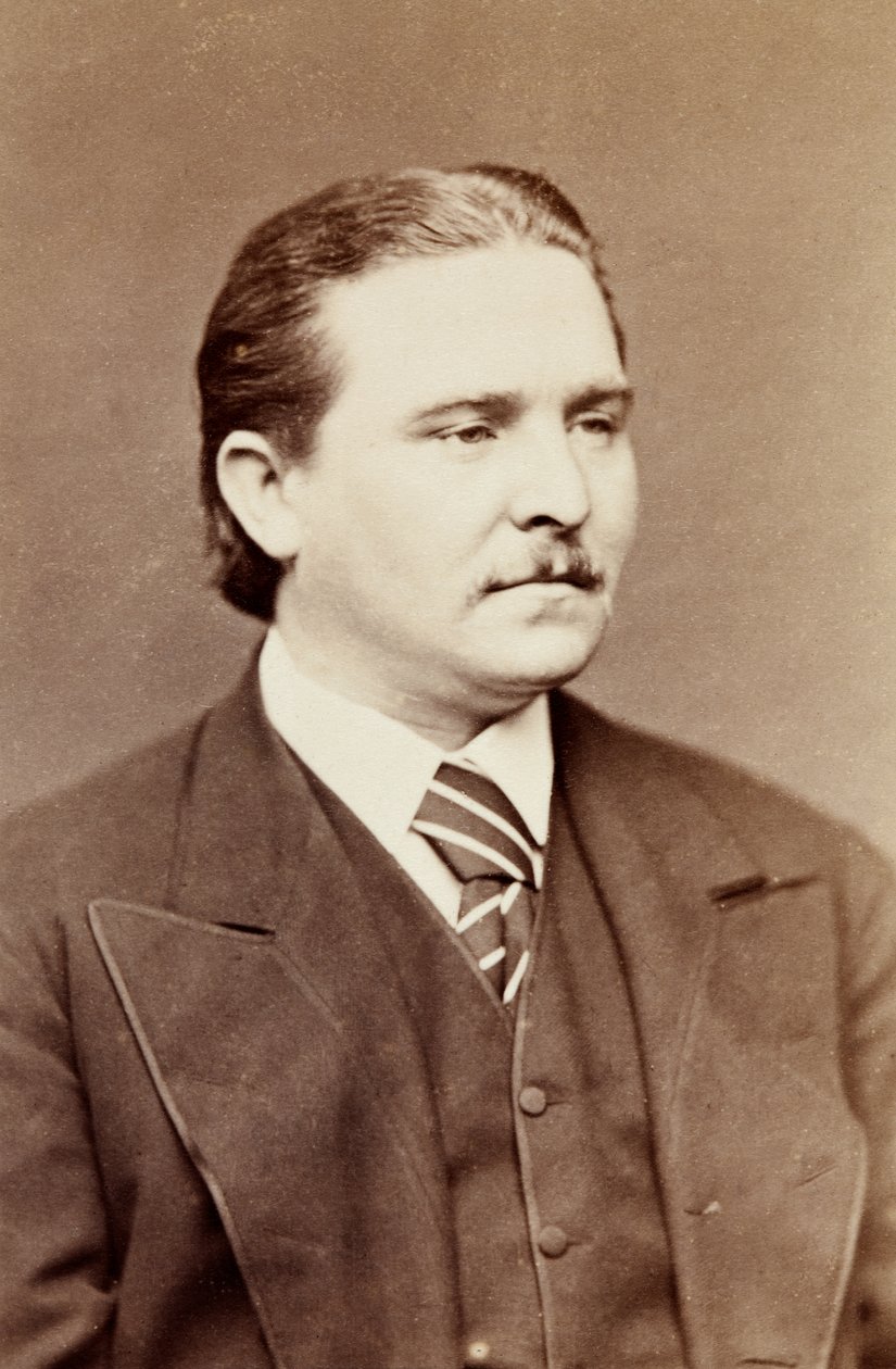 Portrét Vernona Rigbyho, cca 1860 (černobílá fotografie) od Unknown photographer